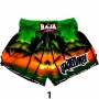Raja Boxing SP67 Шорты Тайский Бокс 
